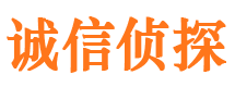 宾县市私家侦探